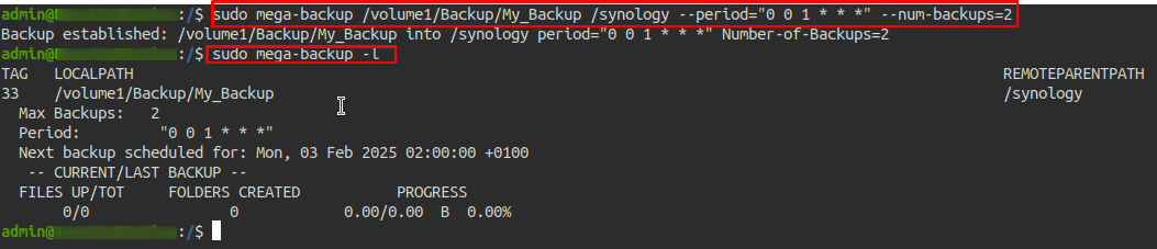 Synology_mega_backup_10.png